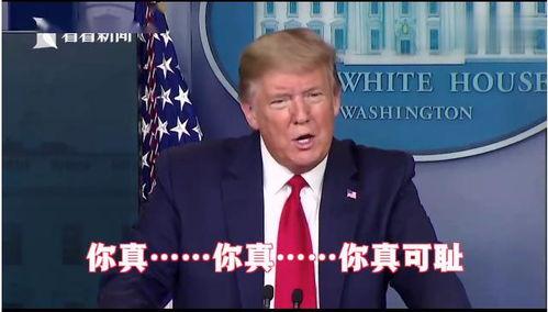 特朗普最新喜剧爆料,揭秘白宫幕后趣闻