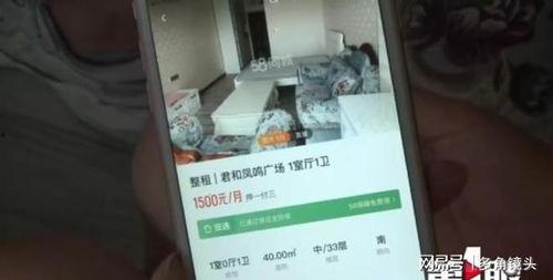 重庆赵女士最新爆料,揭秘事件背后惊人真相
