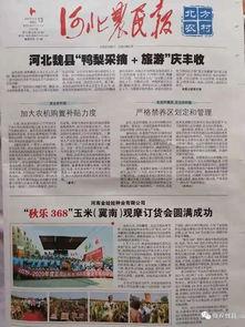 魏县最新事件爆料新闻报道,揭秘背后真相与影响