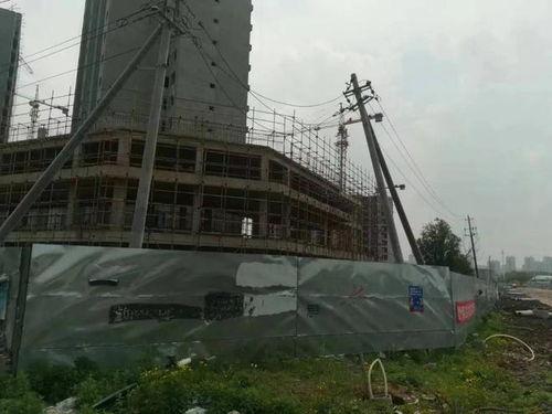 新星集团爆料最新消息,最新动态揭秘，行业变革即将来临！