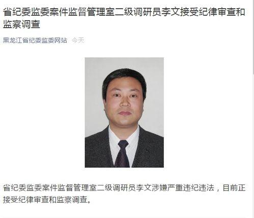 李文最新爆料新闻视频,揭秘事件背后惊人真相