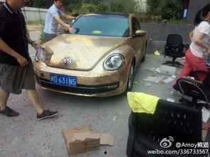 厦门最新爆料新车,惊艳亮相，科技与时尚并存的新宠儿”