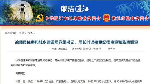 湛江最新爆料,揭秘神秘事件背后的真相